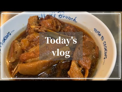 【vlog】ホットクックでスペアリブ作って堪能してたら梅にカビ生えててさぁ大変！今夜も寝不足なんだなぁ