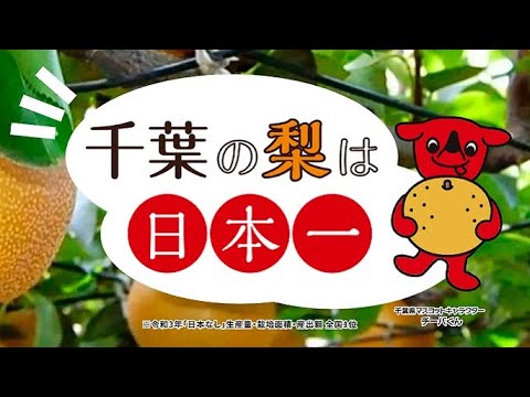 【千葉自賛】千葉の梨は日本一　PR動画（梨語り篇）