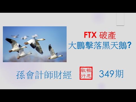 【孫會計師財經周刊】 第349 期 # FTX 破產-大鵬擊落黑天鵝