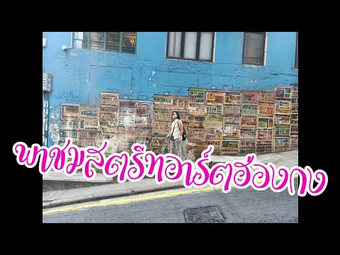 🇭🇰 Take a look at Hong Kong street art  the chic photography spot Hong Kong #streetart #hongkong