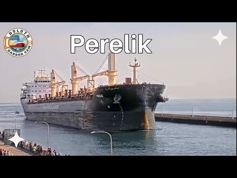 Perelik arrived in Duluth 10/10/2024