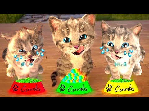 Animated Little Kitten friends Adventure - Preschool and kindergarten learning Cartoon #1141