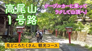 Mount Takao Trail 1 – Cable car will take you to the top of the mountain easily.