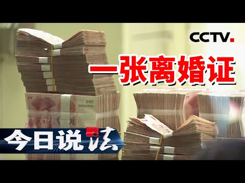 《今日说法》小小证件牵出隐秘“黑灰产业” 方便低廉 “私人定制”埋下定时炸弹！20241230 | CCTV今日说法官方频道