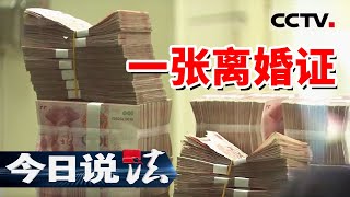 《今日说法》小小证件牵出隐秘“黑灰产业” 方便低廉 “私人定制”埋下定时炸弹！20241230 | CCTV今日说法官方频道