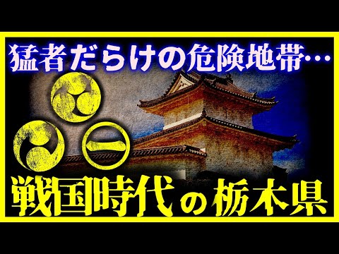 【ゆっくり解説】栃木県の戦国時代に一体、何があったのか？/有名武将と戦を徹底解説！【栃木県の歴史】 【宇都宮氏】【那須氏】【小山氏】