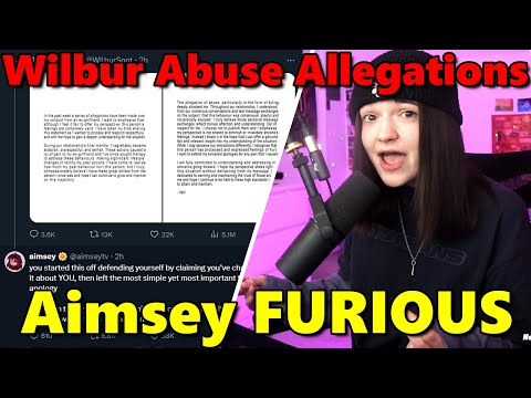 Aimsey Responds to Wilbur Soot's Allegations of Abusing His Ex-Girlfriend Shubble