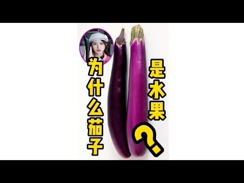 99%的人不知道茄子是蔬菜還是水果  99%pepple dont know eggplant is vegetable or  fruit？