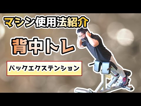 【マシン紹介】バックエクステンション【背中トレ】【佐野市田沼24Hジム：AEGYM】