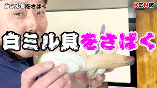 白ミル貝をさばいて刺身に！