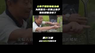 Pt2/3 童年玩伴，以前农村常见的土狗子，现在为什么找不到了？【科普任意门】#shorts