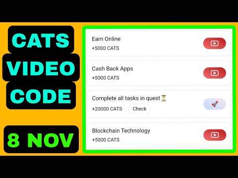 Cats All Videos Codes Today 8 November | Cats YouTube Video Code Today 8 November