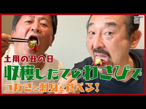 収穫仕立てのわさびで鰻を食べた土用丑の日／寿司・うなぎ処京丸【わさびチャンネル249】