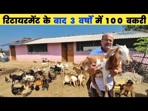 मास्टर साहब ने रिटायर होने के बाद बनाया शानदार बकरी फार्म | Goat farm visit