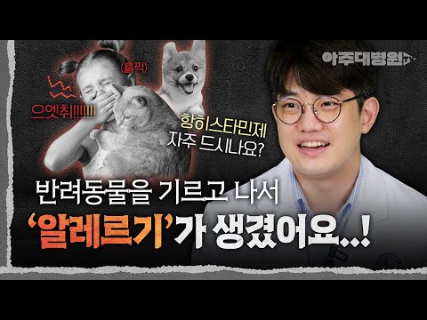 🐱🐶 집사들의 고민 ‘알레르기’🤧 항히스타민제를 많이, 자주, 오래 먹어도 괜찮을까요? 반려동물과 ‘건강하게’ 공존하는 법 | 알레르기내과 이영수 교수 [아주대병원TV]