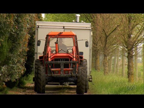 They’ve Got Tech: Next-Gen Farmers – Mobile Milking Solution