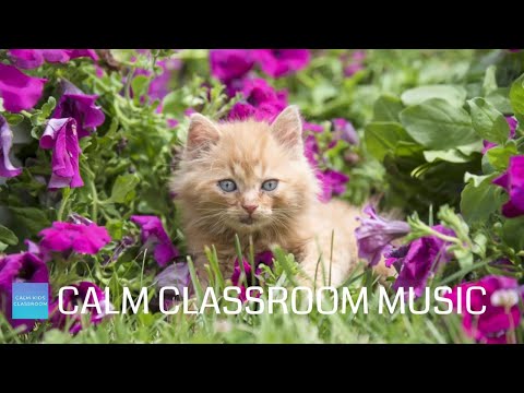 Relaxing Music For Classroom Work - Cute Kittens - Calm classroom music for children