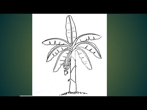 How to draw a banana tree step by step/#artwithartistmiltondanda/#youtubeshorts/#Short