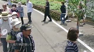 【高知新聞】民俗芸能を後世に　県が玄蕃踊り(佐川町)など調査