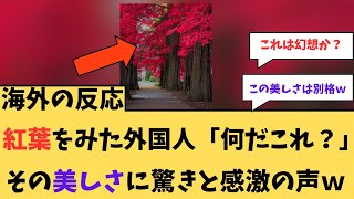 【海外の反応】紅葉を見た外国人「何だこれ？」に対する海外ニキたちの反応集