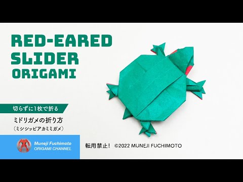 「折り紙」ミドリガメ（Red-eared slider origami）の折り方