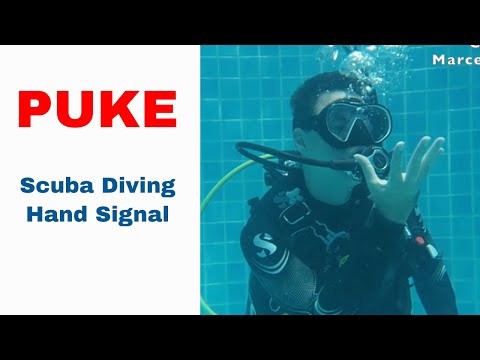 Puke Sign 🤮 Scuba Diving Hand Signal