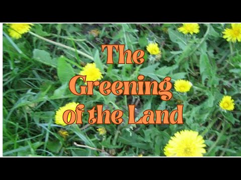 The Greening of the Land