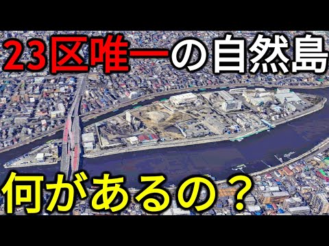 【カオス】東京23区で唯一の"自然島"に行ってみた！一体何があるの？