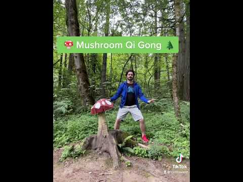 🍄 Mushroom Qi Gong 🤩