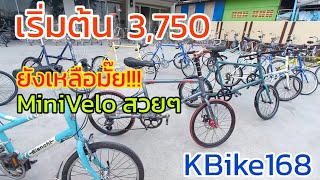 3,750 เริ่มต้น Mini Velo 20" จักรยานปั่นเที่ยว แบรนด์ดังๆ จากยุโรป แคนนาคา ญี่ปุ่น ไต้หวัน @KBike168