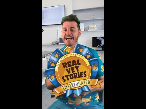 Dr Evan - Real vet stories Series Part 4! 😱