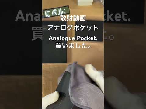 ショート散財動画 #analoguepocket #shorts #short #shortsvideo #shortvideo #zelda #rimix #music　#開封 #開封動画 #散財