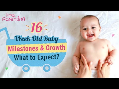 16 Week Old Baby: Development & Milestones | 4 Month Old Baby Development