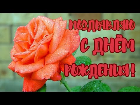 С Днем Рождения Красивое поздравление Музыкальная открытка