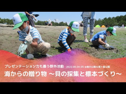 2022年 野外活動のご紹介（海からの贈り物～貝の採集と標本づくり～）