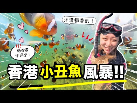 香港小丑魚風暴浮潛秘點!!過百條衝過來😱🇭🇰?!大藍水10米能見度全年限定這幾天?! 全港最大珊瑚區即將死亡…我們可以做什麼？香港浮潛地點+裝備全攻略！｜Kate林樂儀