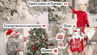 Будни мамы из Канады🇨🇦Праздничное настроение🌟Комната Евы✨Яичные маффины с беконом🙂Елка🎄