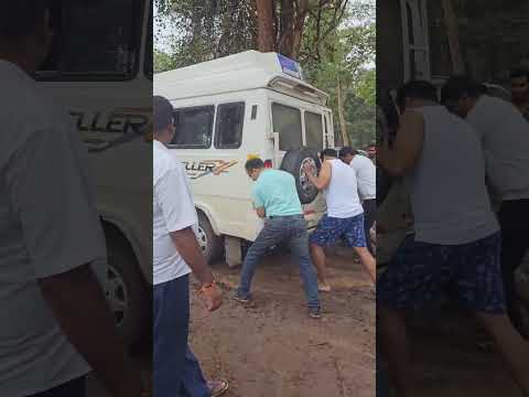 Mathigodu elephant camp, dangerous parking and electricution alert! #coorg