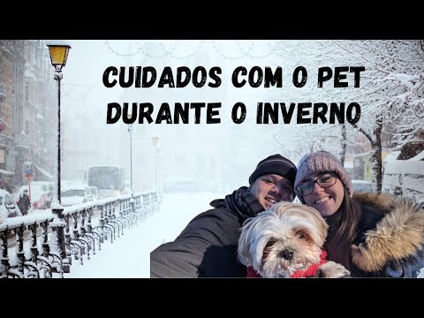 Cuidados com o cachorro no FRIO do CANADÁ! - Passeando com pet em -35 graus 🥶