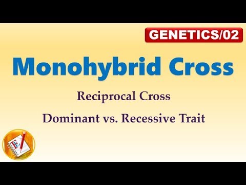 Monohybrid Cross, Dominant and Recessive Trait, Reciprocal Cross (FL-Genetics/02)