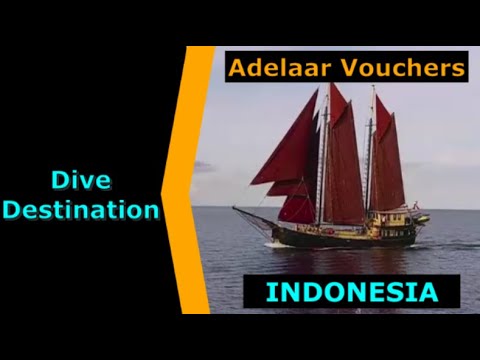 Diving Indonesia - Adelaar Vouchers, Destination Spotlight for Scuba.Digital The #1 Online Dive Show