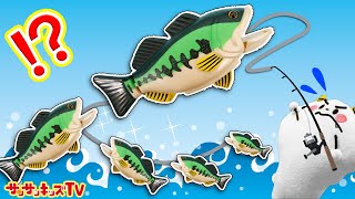 【魚釣り】大量ゲット！？お風呂で釣りをしたらまさかの結果に…！大物つれるかな？子供向け知育教養アニメ★サンサンキッズTV★