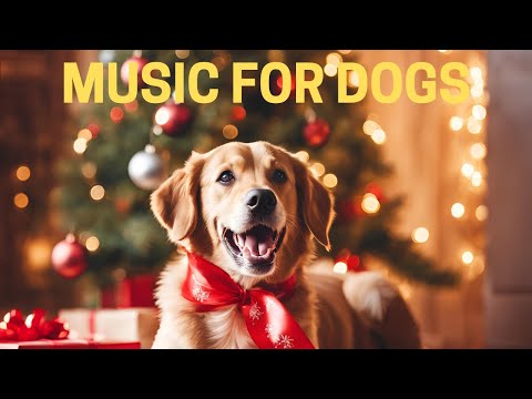 ‼️[NO ADS] MUSIC FOR DOGS: 🐶 8 Hours of Calming Songs For Dogs with Festive Visuals! TRY IT OUT!