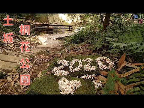 [新北土城] 桐花公園-賞螢步道-清溪步道 / Tung Blossom Park,Firefly Trail,Qingxi Trail