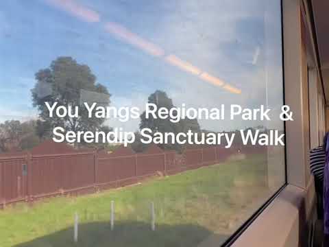 (262) You Yangs Regional Park  & Serendip Sanctuary Walk 尤楊斯地區公園遊