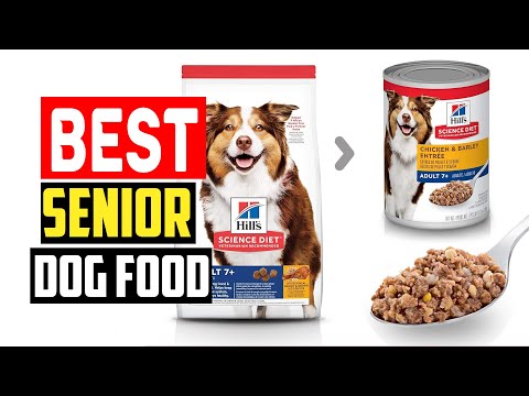 ✅Top 5 Best Senior Dog Food in 2024