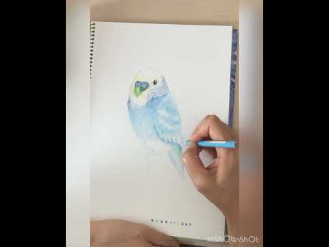 色鉛筆で生き物を描きます　ブーピー工房絵画造形教室