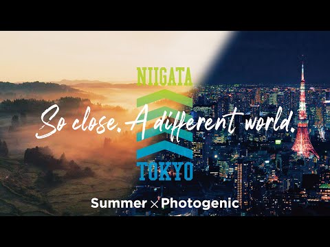 Three days in Tokyo and Niigata, Japan – Photogenic