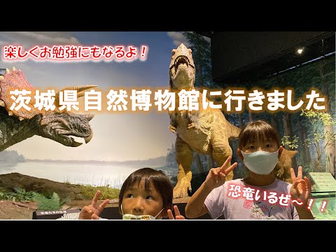 【茨城県自然博物館】子供達と宇宙、地球、恐竜、自然に会いに行きました！！！【公園】