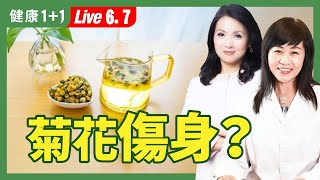 菊花加上它泡茶清肝臟解熱、鎮靜安神都有效；黃色白色哪款好？禁忌一次看懂（2024.06.07）| 健康1+1 · 直播